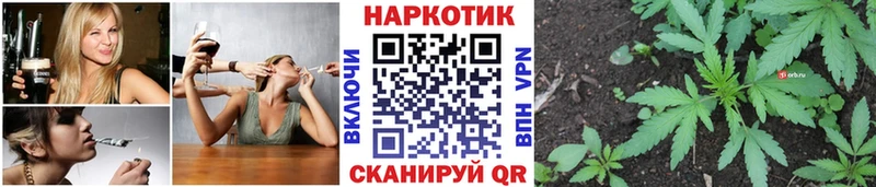 Наркошоп купить А ПВП  МЕФ  Конопля  КОКАИН  Злынка