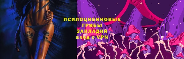 мяу мяу мука Инсар