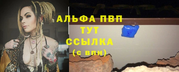 мяу мяу мука Инсар