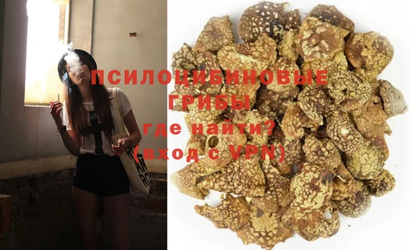 мяу мяу мука Инсар