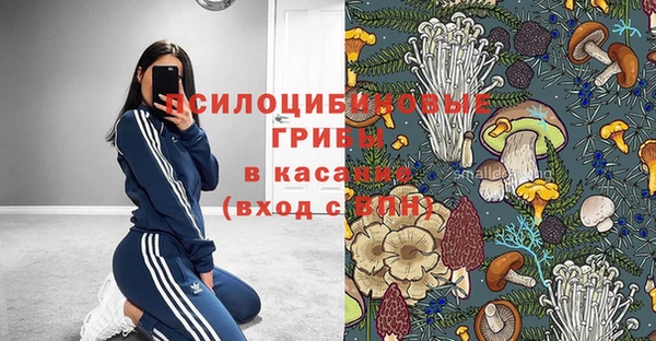 мяу мяу мука Инсар