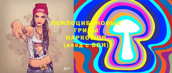 мяу мяу мука Инсар