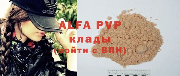 мяу мяу мука Инсар