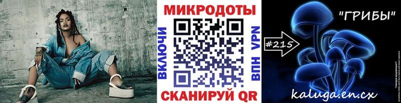 Псилоцибиновые грибы мухоморы  Купить закладки  Злынка 