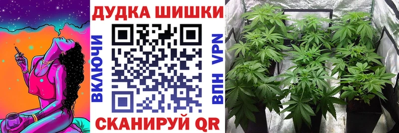 Купить  Злынка  Конопля сатива 